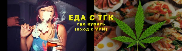 индика Вязники