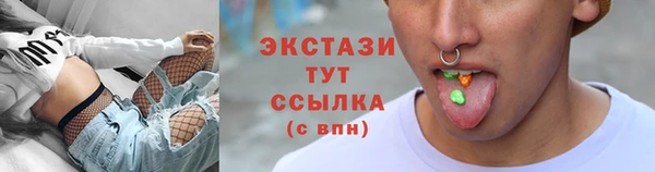 индика Вязники